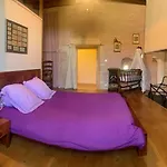 Chateau De Lugerat B&B