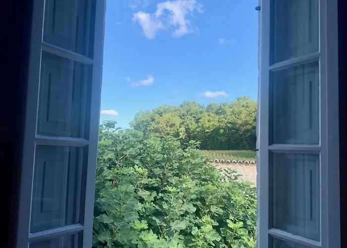 Bed & Breakfast Chateau De Lugerat - 4 - 2 Et 3 Personnes