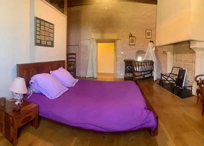 Chateau De Lugerat - 4 - 2 Et 3 Personnes Bed & Breakfast